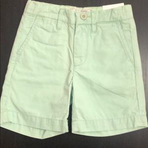 Johnnie-O Derby Jr. Shorts in Light green.